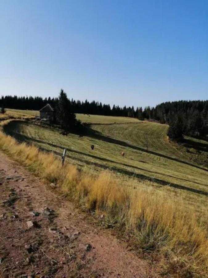 Les Locations De Stephanie Les Hautes Vosges Sondernach Экстерьер фото