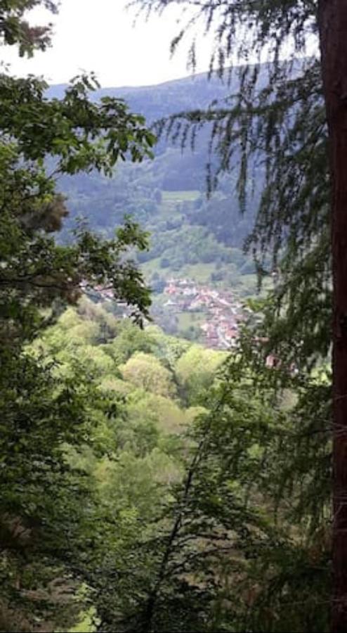 Les Locations De Stephanie Les Hautes Vosges Sondernach Экстерьер фото