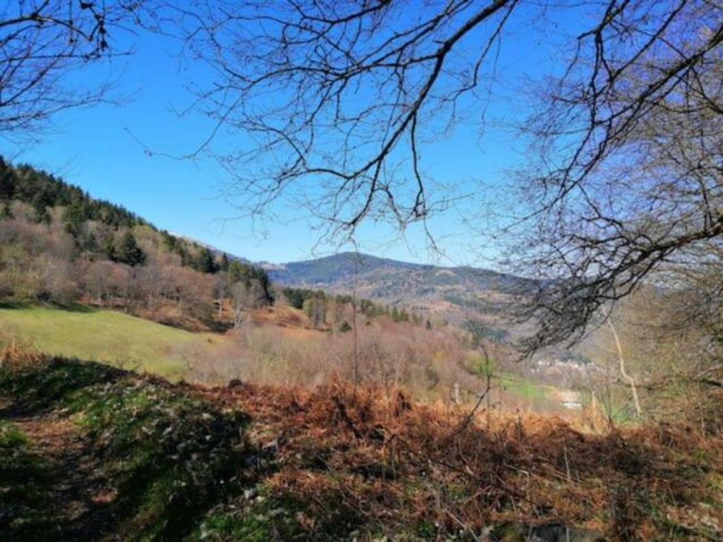 Les Locations De Stephanie Les Hautes Vosges Sondernach Экстерьер фото